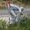 Mailbox