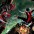 Amazing X-Men #1
